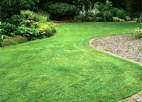 A Barefoot Lawn